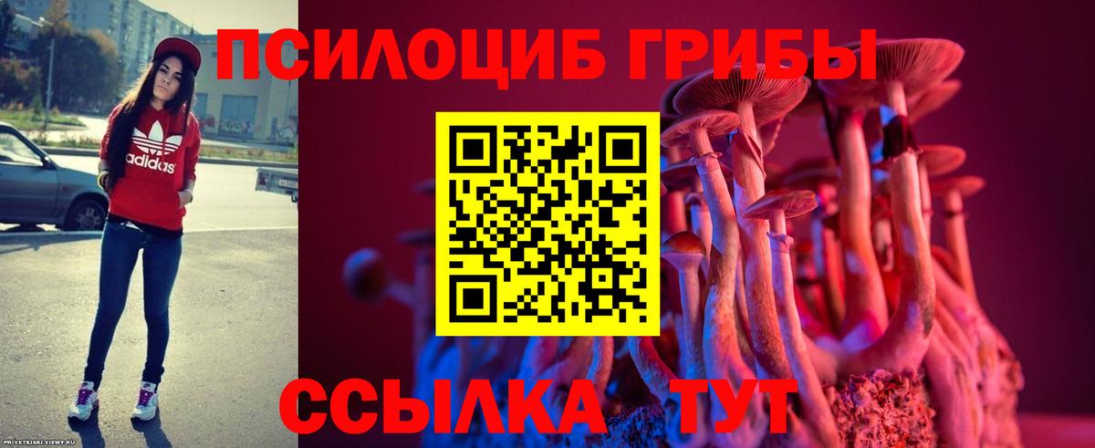 Галлюциногенные грибы мухоморы  Псилоцибиновые грибы Cubensis  Топки  Вход с VPN 